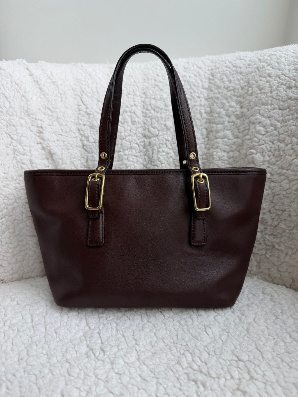 Coach Brown Leather Mini Tote