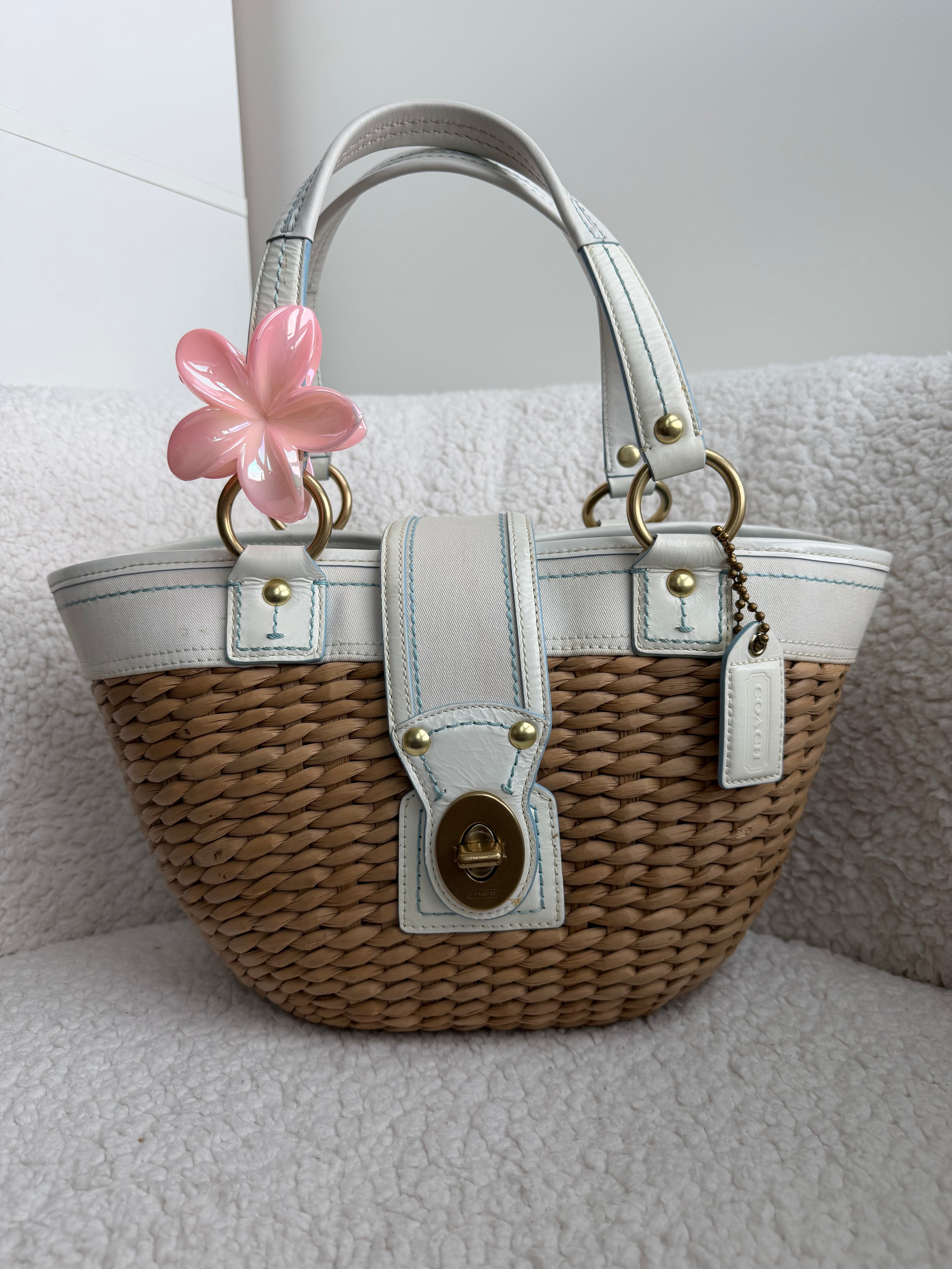 Coach Tote Woven Bag