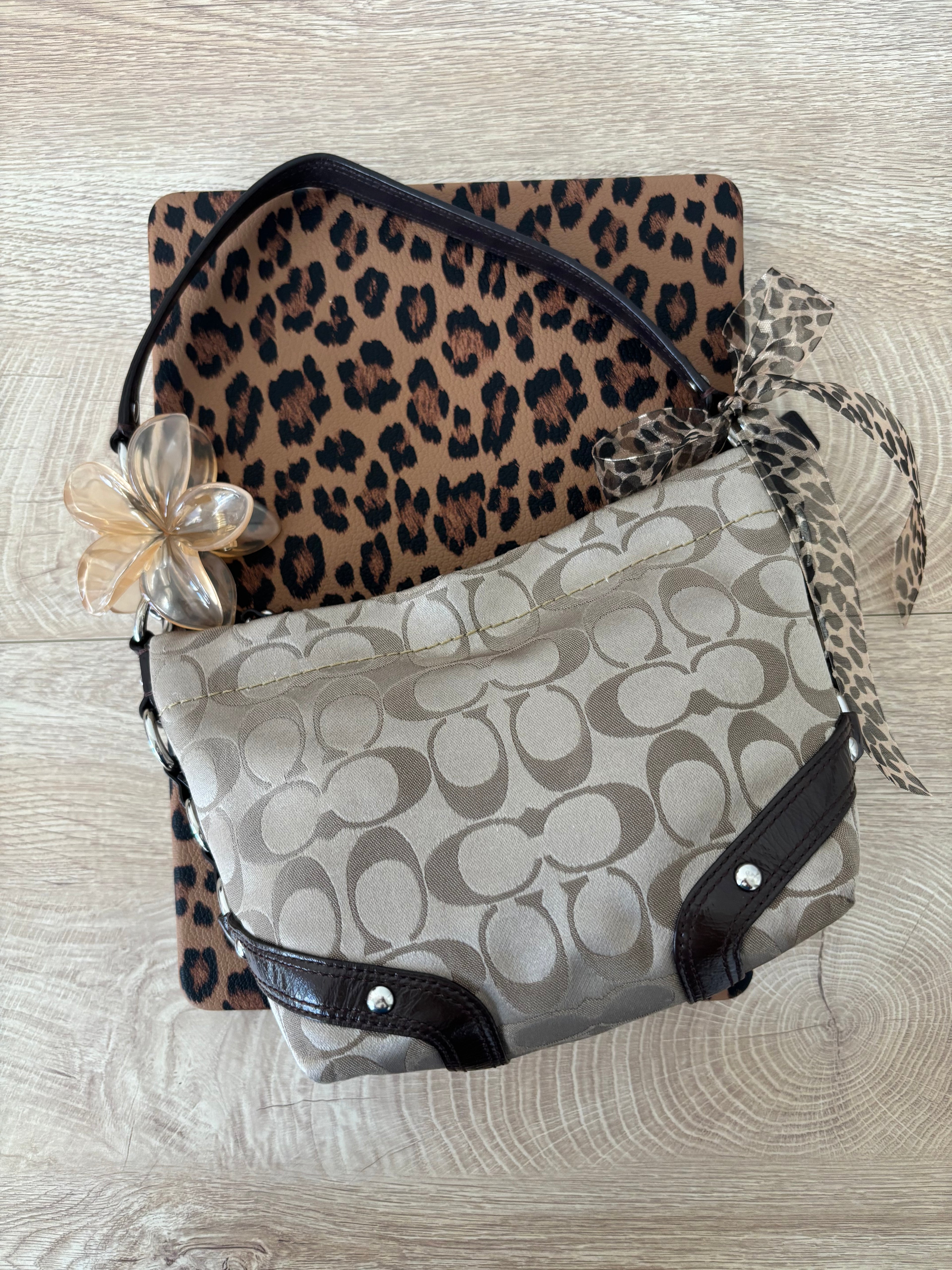 Y2K Coach Mini Brown Carly