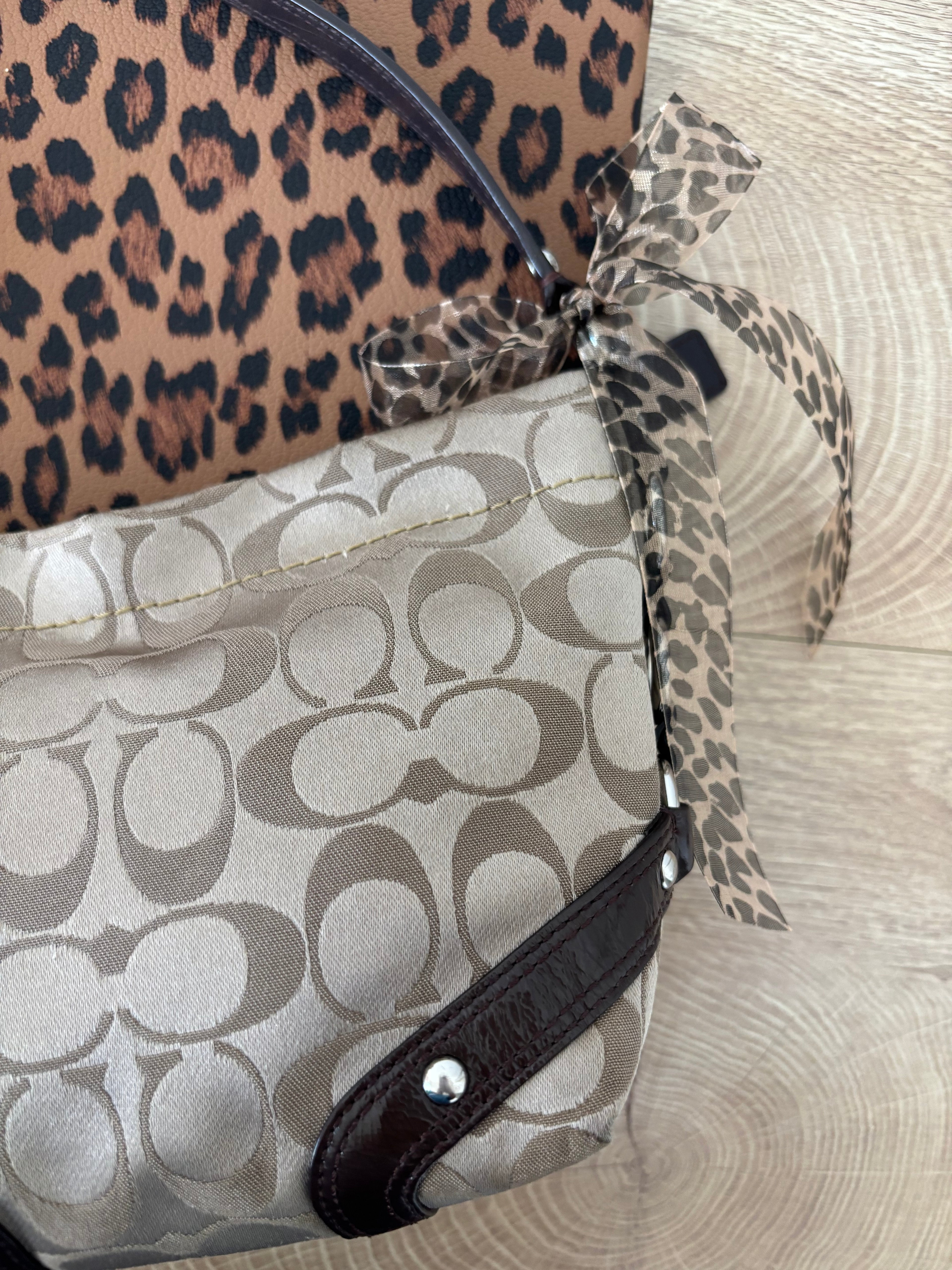 Y2K Coach Mini Brown Carly