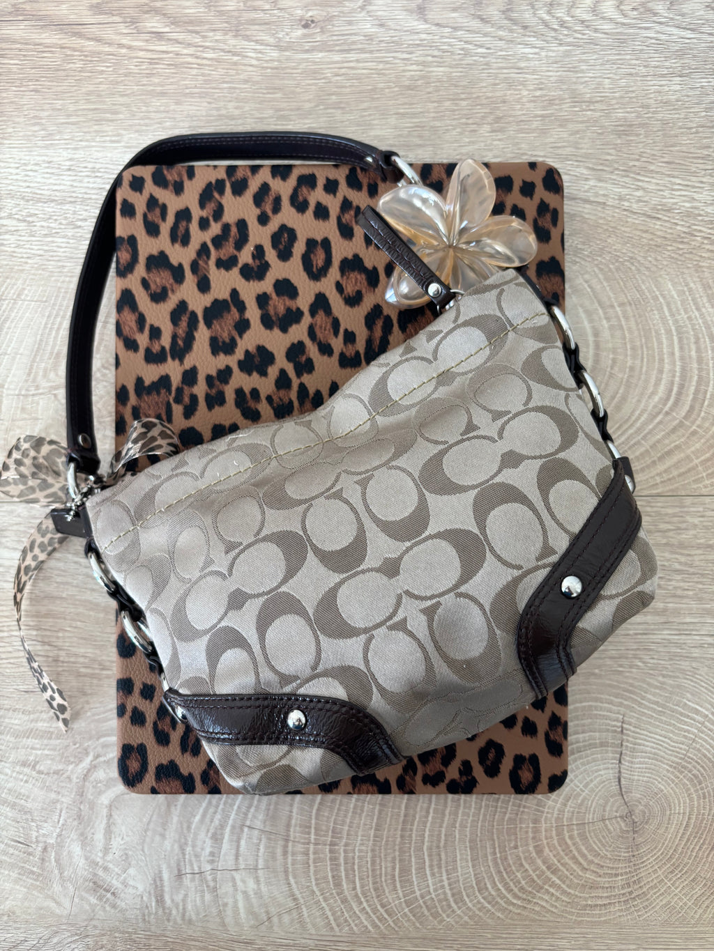 Y2K Coach Mini Brown Carly