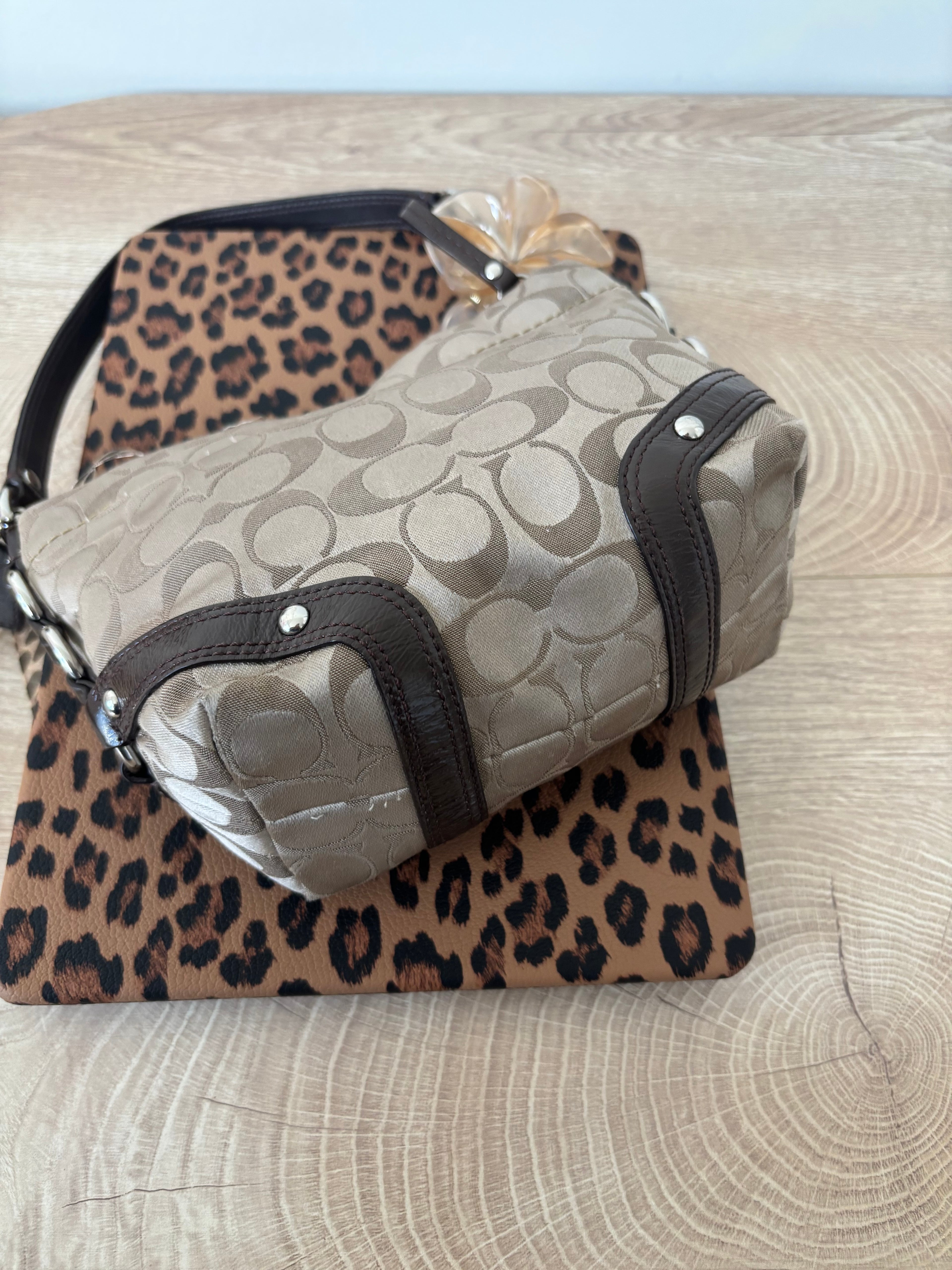 Y2K Coach Mini Brown Carly