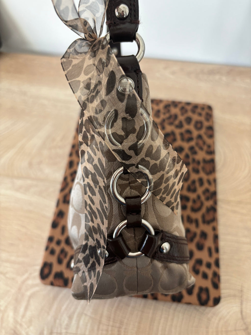 Y2K Coach Mini Brown Carly